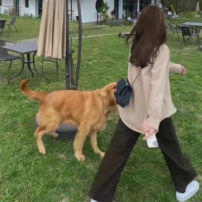 梦中的简