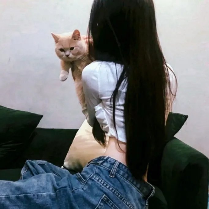 梦回玛丽莲